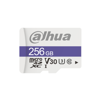 Memoria MicroSD Dahua Technology DHI-TF-C100/256GB 